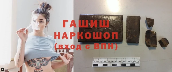 сатива Бородино