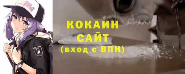сатива Бородино