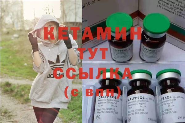 сатива Бородино
