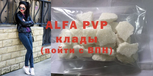 сатива Бородино