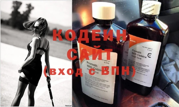 сатива Бородино