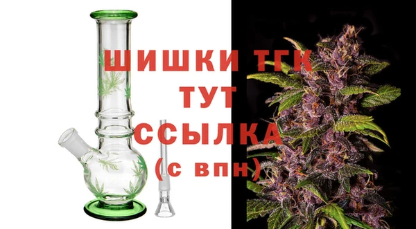 сатива Бородино